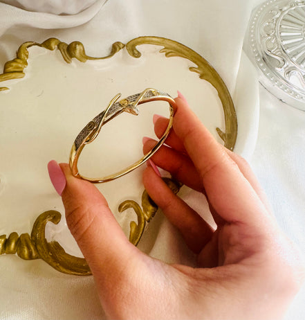 Pin carteir zircon bangle