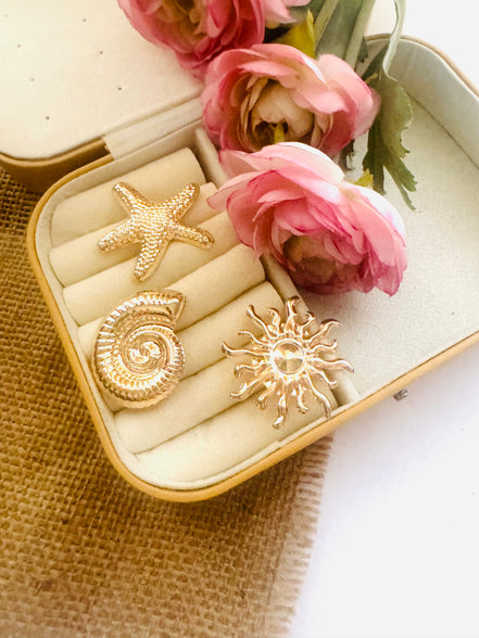 Brosh set ( 3 peices )