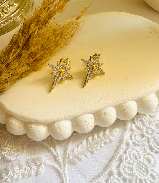 Star zircon earring