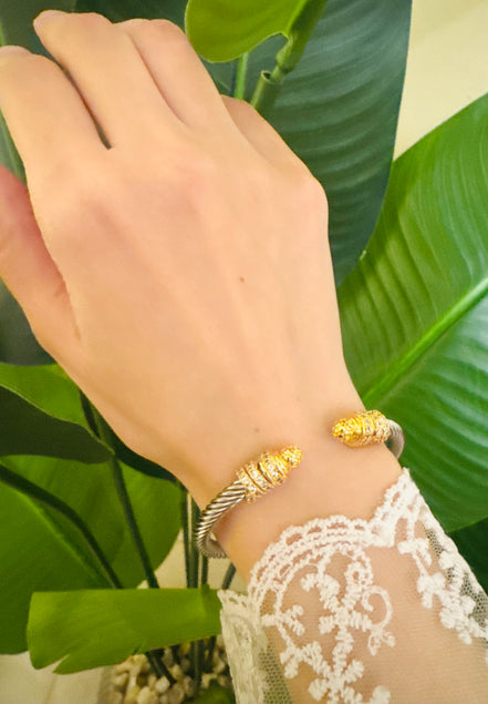 Gold & silver bangle
