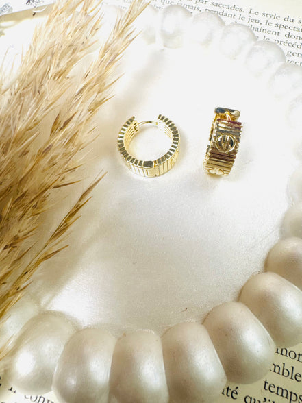 New carteir earring