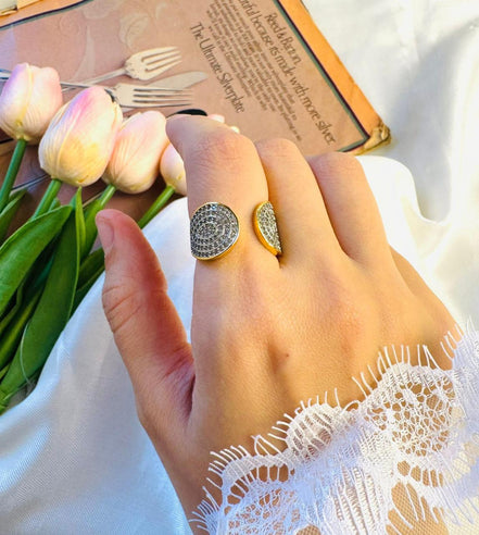 Double circle zircon ring