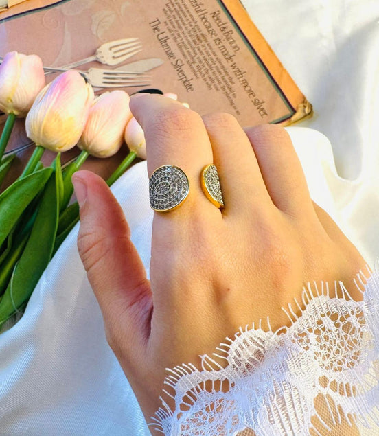 Double circle zircon ring