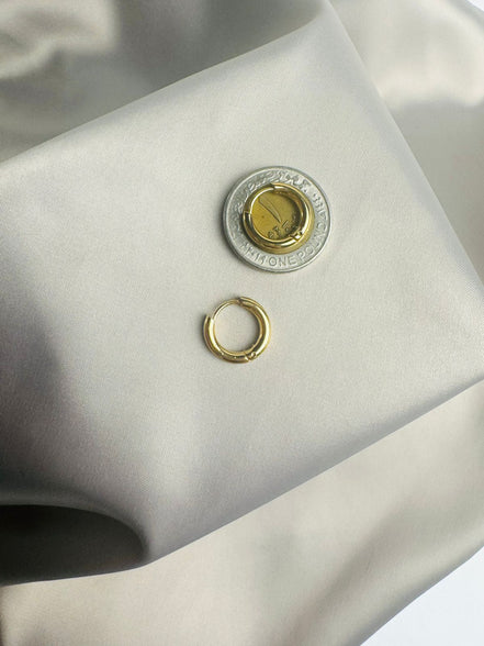 Small circle earring