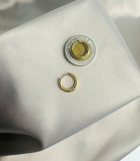 Small circle earring