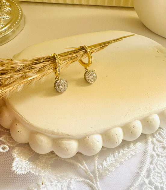 Circle zircon earring